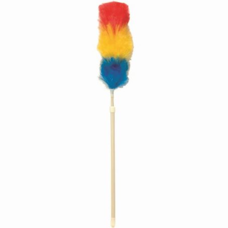Dayes - Colourful Extending Duster