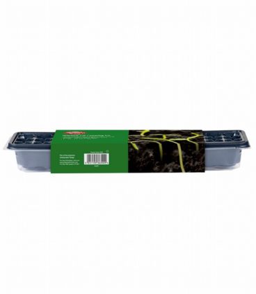 AMBASSADOR WINDOW PROPAGATOR