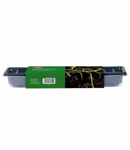 AMBASSADOR WINDOW PROPAGATOR