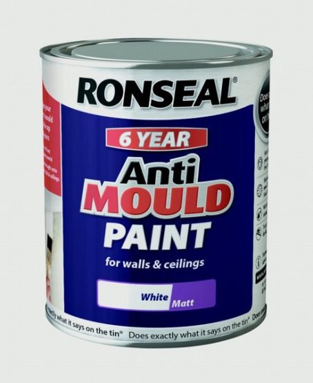 RON ANTI MOULD PAINT MATT PBW 750ML