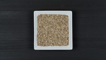 BIRD FEED SUNFLOWER HEARTS 20KG J&J