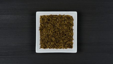 Johnston & Jeff - Dried Mealworms 100g - Image 2