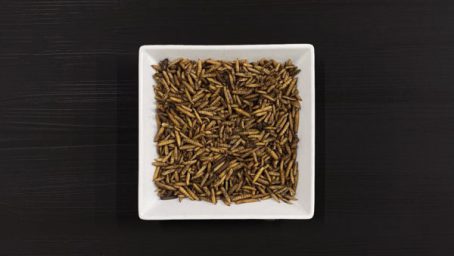 Johnston & Jeff - Dried Calciworms 500g - Image 2