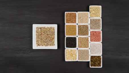 Johnston & Jeff - Essential Spring/Summer Seed Blend 1KG - Image 2