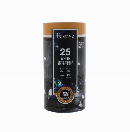 Festive - 25 LED Battery Lights White 2.4M - Image 2