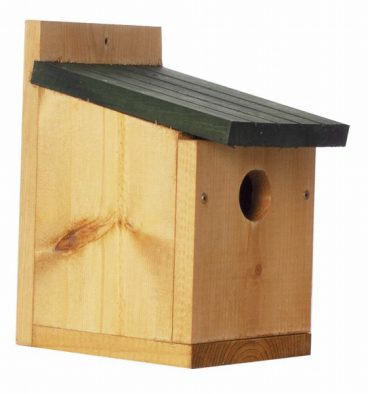 Bird Box Green Roof