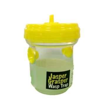 Jasper Grasper – Wasp Trap