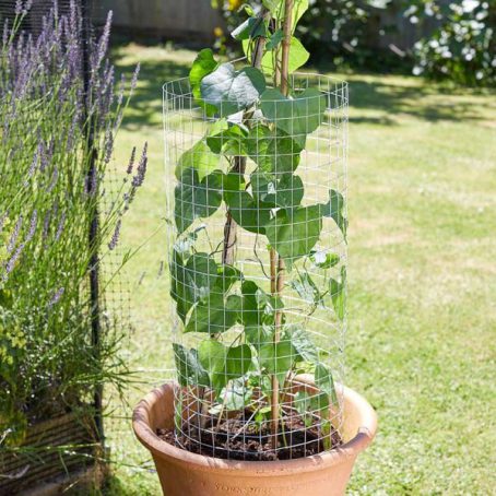 Smart Garden - Wire Netting Galv Roll 25x25mm 5M - Image 2