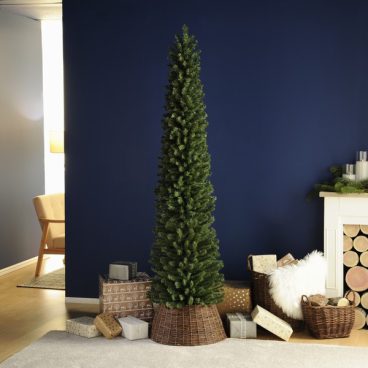 Festive – Christmas Tree Glenmore Pencil Pine 6ft