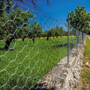 Smart Garden – Wire Netting Galv Roll 0.5Mx50mm 5M