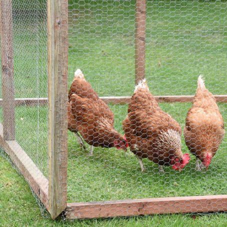 Smart Garden - Wire Netting Galv 1Mx5Mx13mm