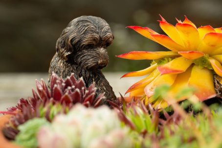 POT BUDDY BRONZE COCKAPOO