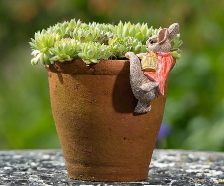 POT BUDDY FLOPSY