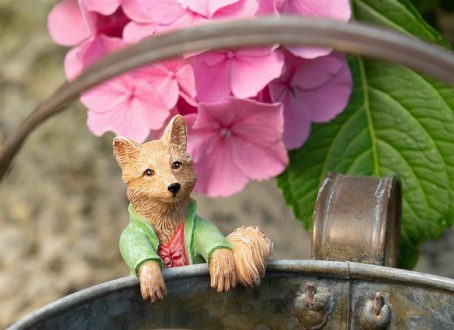 POT BUDDY MR TOD