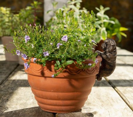 POT BUDDY BRONZE BRITISH BULLDOG