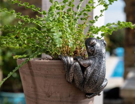 POT BUDDY BRONZE FROG