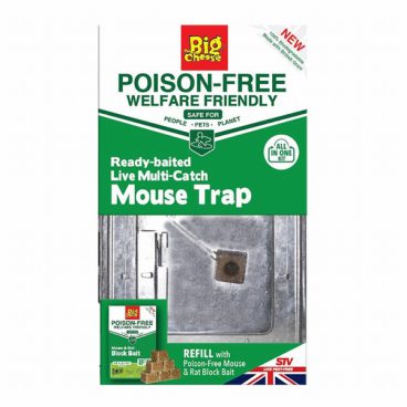 Big Cheese Poison Free Ready Baited Live Multi Catch Mouse Trap