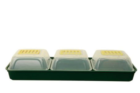 WHITEFURZE WINDOW PROPAGATOR SET