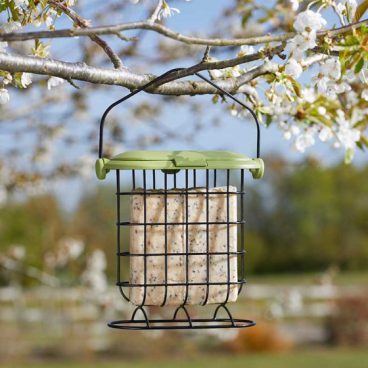 Smart Garden – Suet Cake Feeder