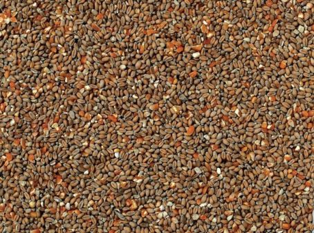 POULTRY FEED MIXED 60/40 20KG