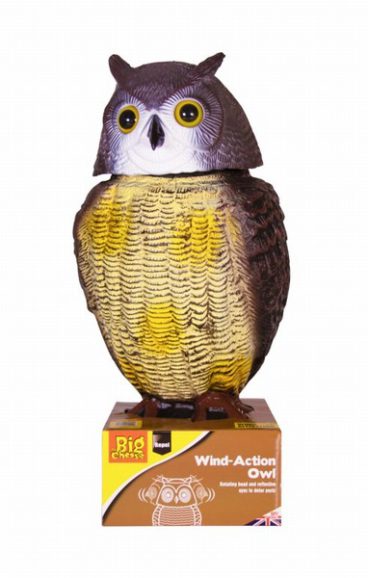 mica04/25 BIG CHEESE WIND ACTION OWL