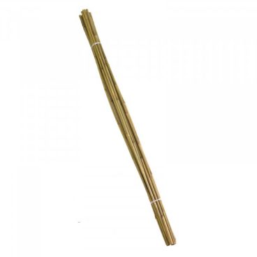 Bamboo Cane 4FT Single
