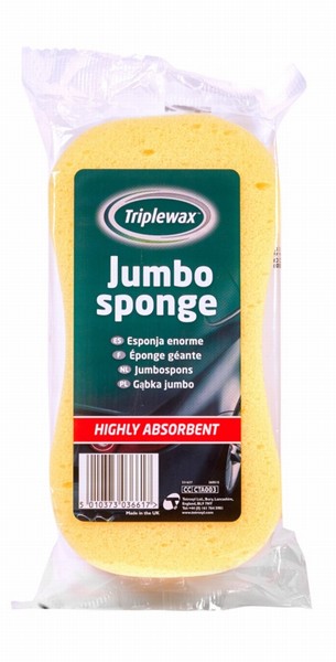 mica05/24 SPONGE JUMBO CARPLAN