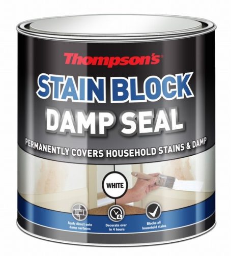THOMPSONS DAMP SEAL 250ML
