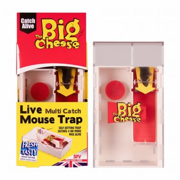 Big Cheese – Live Multi Catch Mouse Trap
