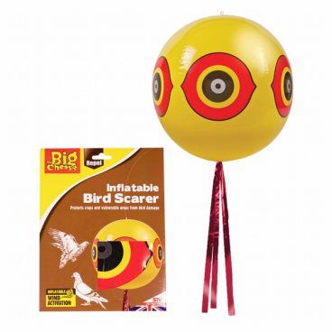BIG CHEESE EYEBALL SCARER