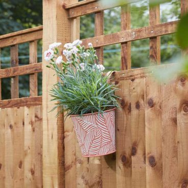 HANGING POT FERN TERRACOTTA (2025)