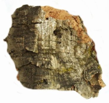 JAVIS MATERIALS CORK BARK