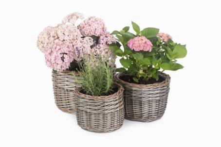 MEDIUM ROUND ANTIQUE WASH PLANTER - Image 2