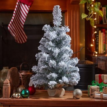 Frosty Fir, 60cm
