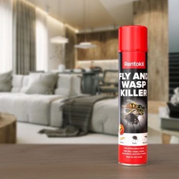 Rentokil – Fly & Wasp Killer Spray 300ml