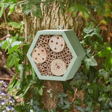 MASON BEE HEXBOX (2025)