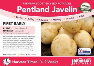 Seed Potatoes – First Early – Pentland Javelin 2kg