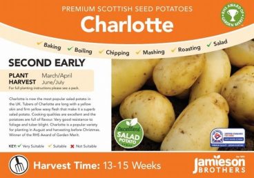Seed Potatoes – All Season Salad – Charlotte 2kg