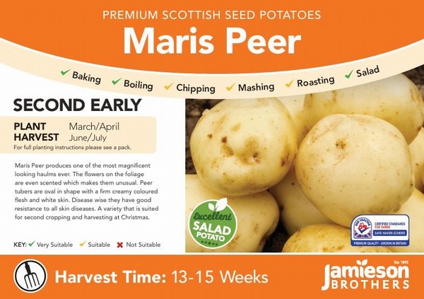 Seed Potatoes - Second Early - Maris Peer 2kg