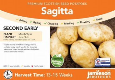 SEED POTATOES SECOND EARLY SAGITTA 2KG