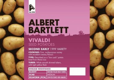 SEED POTATOES SECOND EARLY BARLETT VIVALDI 2KG