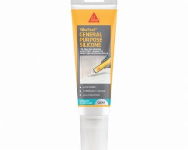 SEALANT EASI SILICONE CLEAR EVERBUILD
