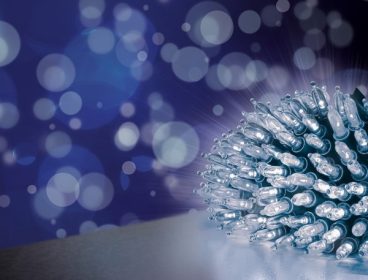 FAIRY CAP LIGHTS WHITE 300LED