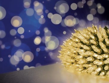 FAIRY CAP LIGHTS WARM 300LED