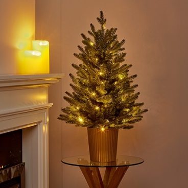 POTTED TREE ELDON FIR 50 LED 90CM