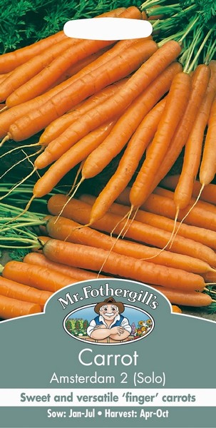 SEEDS – CARROT – AMSTERDAM 2 SOLO