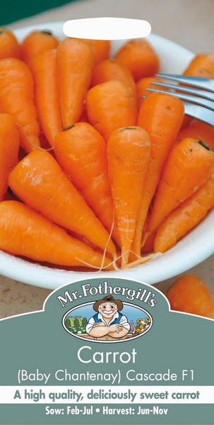 SEEDS – CARROT – CASCADE F1 (BABY CHANTENAY)