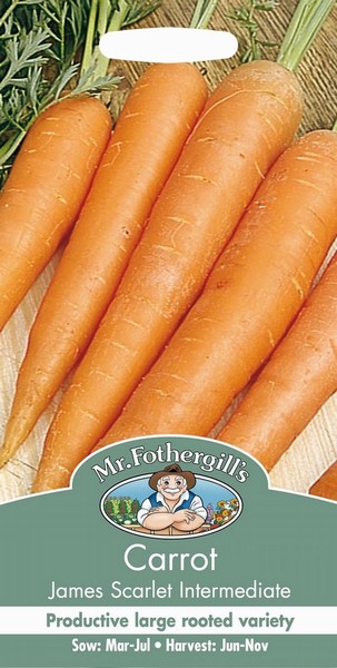 SEEDS – CARROT – JAMES SCARLET INTERMEDIATE