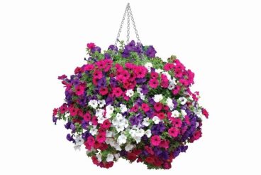 HANGING BASKET LINER 18IN PK2